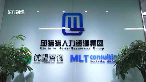 上海優望企業管理咨詢挖掘優質人才,給能源領域提供不竭動力